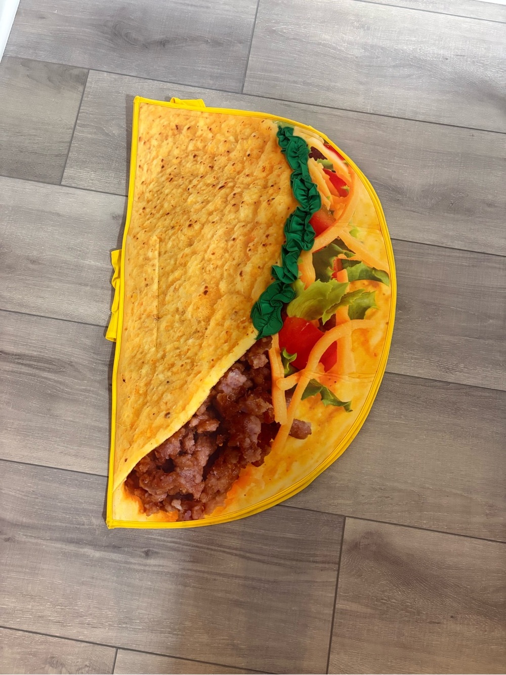 Taco Halloween Costume